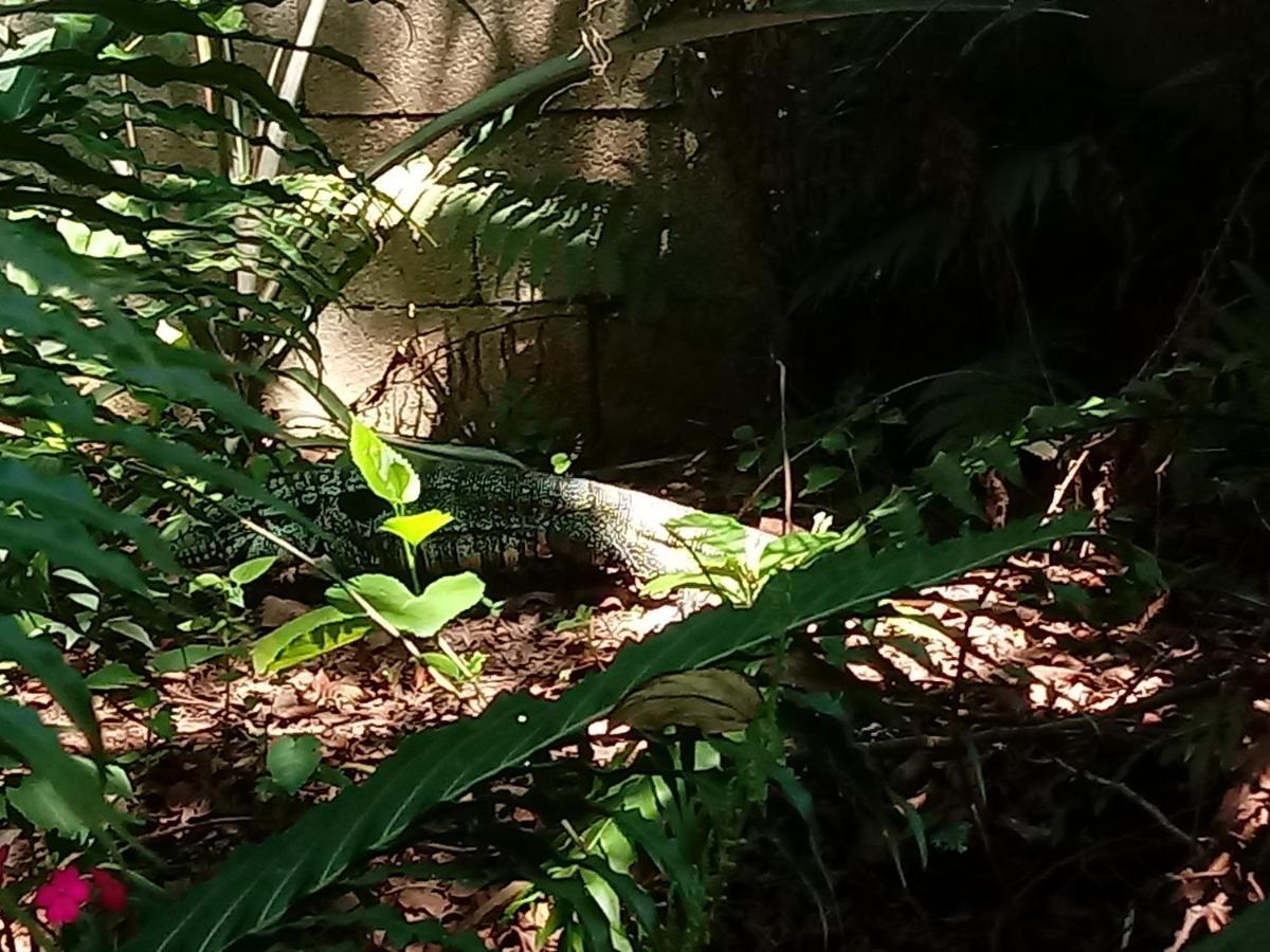 Casa Alquiler En Bombas Bombinhas别墅 外观 照片